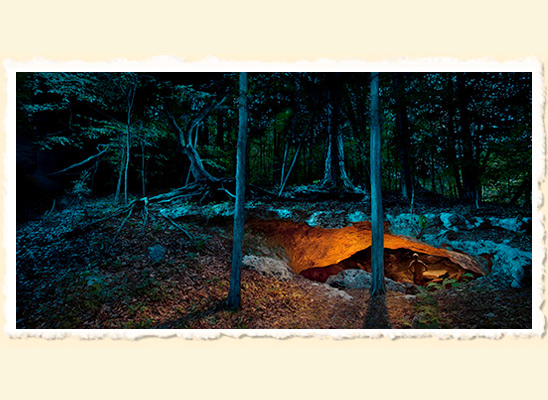 The World Beneath  Chipola River  (photo by John Moran and David Moynahan) 