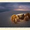 Ghost Crab  Gulf Islands National Seashore